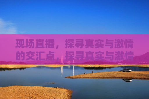 现场直播，探寻真实与激情的交汇点，探寻真实与激情的现场直播，探寻真实与激情，现场直播的震撼之旅