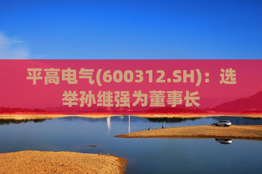 平高电气(600312.SH)：选举孙继强为董事长