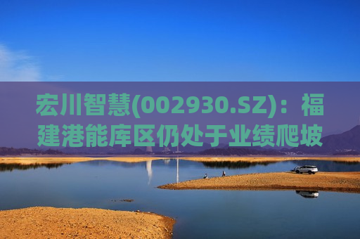 宏川智慧(002930.SZ)：福建港能库区仍处于业绩爬坡阶段 产能效益待逐步释放