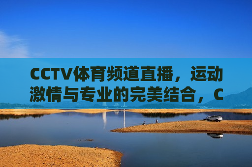 CCTV体育频道直播，运动激情与专业的完美结合，CCTV体育频道直播，运动激情与专业的碰撞，CCTV体育频道直播，运动激情与专业的碰撞