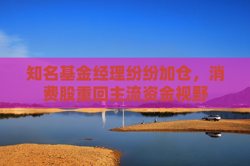 知名基金经理纷纷加仓,消费股重回主流资金视野 第1张 知名基金经理纷纷加仓,消费股重回主流资金视野 第1张