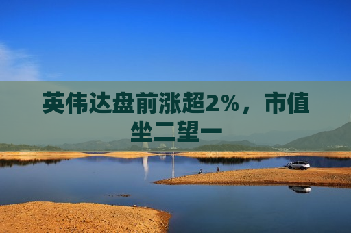 英伟达盘前涨超2%，市值坐二望一  第1张