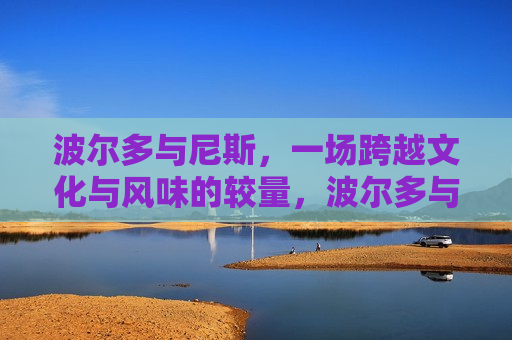 波尔多与尼斯，一场跨越文化与风味的较量，波尔多与尼斯，文化风味大比拼，波尔多与尼斯，文化风味对决