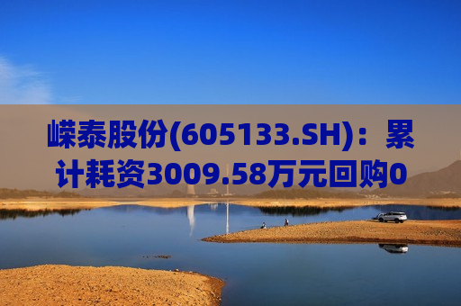嵘泰股份(605133.SH)：累计耗资3009.58万元回购0.91%股份