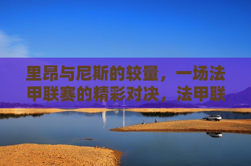 里昂与尼斯的较量，一场法甲联赛的精彩对决，法甲联赛，里昂与尼斯的精彩对决，法甲联赛，里昂与尼斯的精彩对决