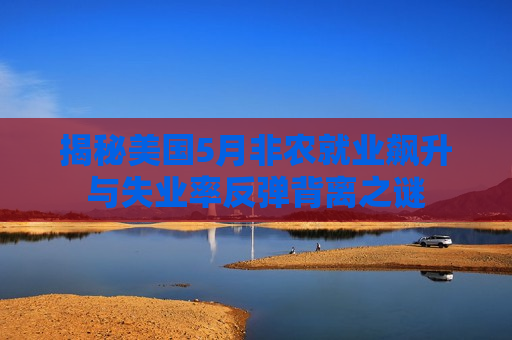 揭秘美国5月非农就业飙升与失业率反弹背离之谜 第1张 揭秘美国5月非农就业飙升与失业率反弹背离之谜 第1张
