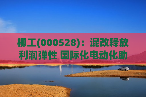 柳工(000528)：混改释放利润弹性 国际化电动化助力开启新征程  第1张