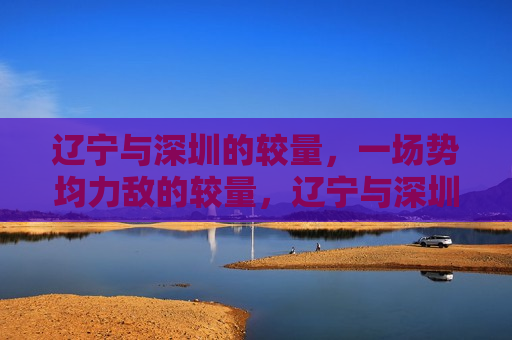 辽宁与深圳的较量，一场势均力敌的较量，辽宁与深圳对决，势均力敌的较量，辽宁与深圳对决，势均力敌的巅峰较量