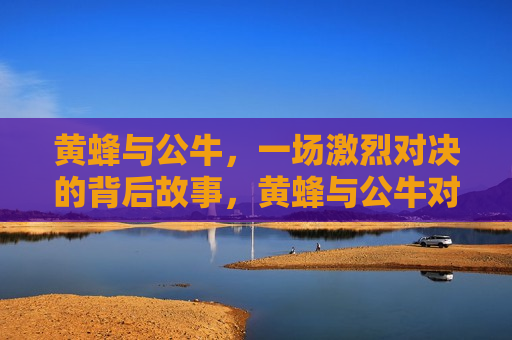 黄蜂与公牛,一场激烈对决的背后故事,黄蜂与公牛对决背后的故事,黄蜂与公牛对决背后的故事,一场篮球之战的启示 第1张 黄蜂与公牛,一场激烈对决的背后故事,黄蜂与公牛对决背后的故事,黄蜂与公牛对决背后的故事,一场篮球之战的启示 第1张