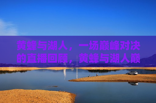 黄蜂与湖人，一场巅峰对决的直播回顾，黄蜂与湖人巅峰对决直播回顾，黄蜂与湖人巅峰对决，直播回顾