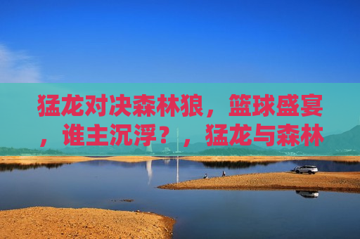 猛龙对决森林狼，篮球盛宴，谁主沉浮？，猛龙与森林狼对决，篮球盛宴，谁将称雄？，猛龙与森林狼篮球对决，谁将称雄？