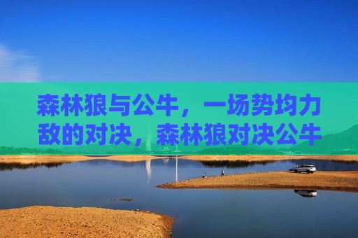 森林狼与公牛，一场势均力敌的对决，森林狼对决公牛，势均力敌的战斗即将上演，森林狼对决公牛，势均力敌的战斗即将上演