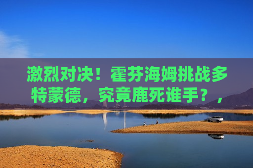 激烈对决！霍芬海姆挑战多特蒙德，究竟鹿死谁手？，霍芬海姆与多特蒙德的对决，谁将成为胜者？，霍芬海姆与多特蒙德对决，鹿死谁手？