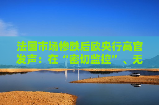 法国市场惨跌后欧央行高官发声：在“密切监控”、无“极端影响”