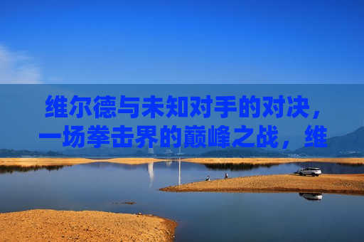 维尔德与未知对手的对决，一场拳击界的巅峰之战，维尔德迎战神秘对手，巅峰之战即将上演，维尔德迎战神秘对手，巅峰之战即将震撼上演