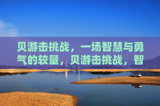贝游击挑战，一场智慧与勇气的较量，贝游击挑战，智慧与勇气的巅峰对决，贝游击挑战，智慧与勇气的巅峰对决