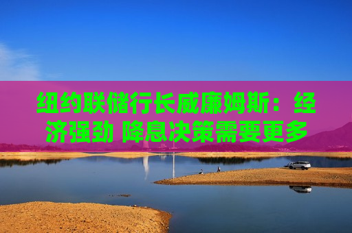 纽约联储行长威廉姆斯：经济强劲 降息决策需要更多数据
