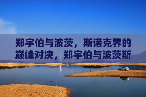 郑宇伯与波茨，斯诺克界的巅峰对决，郑宇伯与波茨斯诺克巅峰之战，郑宇伯与波茨斯诺克巅峰之战