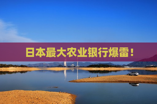 日本最大农业银行爆雷！
