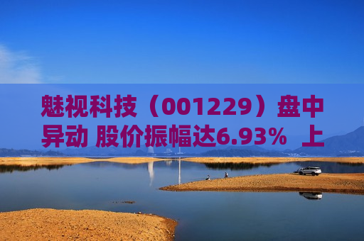 魅视科技（001229）盘中异动 股价振幅达6.93%  上涨6.66%（06-19）
