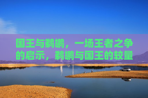 国王与鹈鹕，一场王者之争的启示，鹈鹕与国王的较量，王者之争中的智慧启示，鹈鹕与国王的较量，王者之争的智慧启示