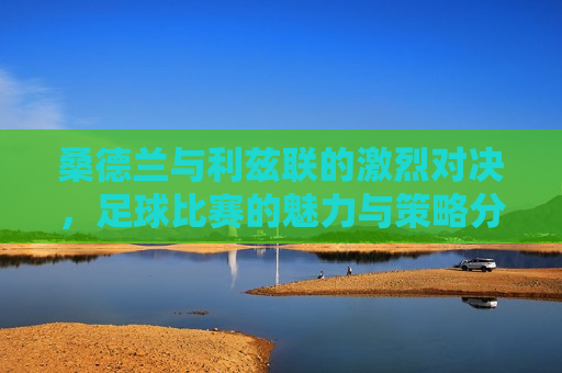 桑德兰与利兹联的激烈对决，足球比赛的魅力与策略分析，桑德兰与利兹联的足球对决，比赛魅力与策略探究，桑德兰与利兹联对决，足球比赛的魅力与策略探究
