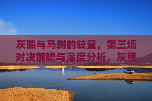 灰熊与马刺的较量，第三场对决前瞻与深度分析，灰熊与马刺对决前瞻，第三场对决的深度分析，灰熊与马刺对决前瞻，第三场对决的深度分析与展望