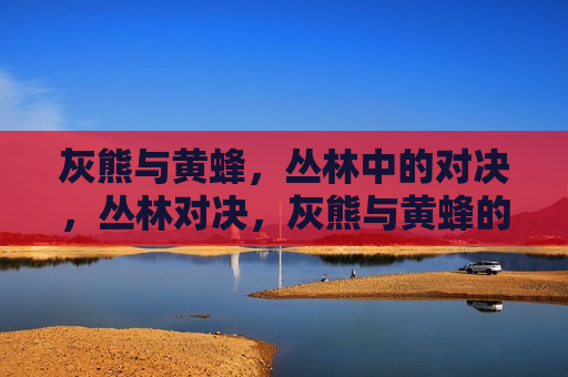 灰熊与黄蜂，丛林中的对决，丛林对决，灰熊与黄蜂的较量，丛林争霸，灰熊与黄蜂的终极对决