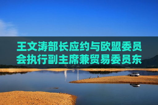 王文涛部长应约与欧盟委员会执行副主席兼贸易委员东布罗夫斯基斯举行视频会谈 第1张 王文涛部长应约与欧盟委员会执行副主席兼贸易委员东布罗夫斯基斯举行视频会谈 第1张