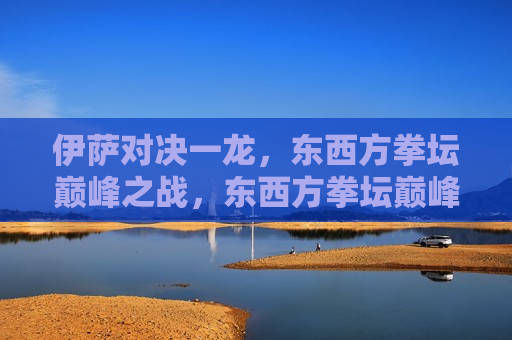 伊萨对决一龙，东西方拳坛巅峰之战，东西方拳坛巅峰对决，伊萨挑战一龙，伊萨挑战一龙，东西方拳坛巅峰对决