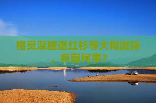 格灵深瞳遭红杉等大幅减持，所因何事？