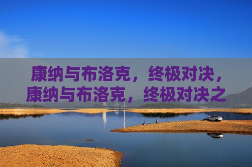康纳与布洛克，终极对决，康纳与布洛克，终极对决之夜，康纳与布洛克，终极对决之夜