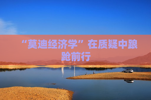 “莫迪经济学”在质疑中踉跄前行