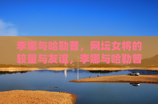 李娜与哈勒普，网坛女将的较量与友谊，李娜与哈勒普，网坛之战与深厚友谊，李娜与哈勒普，网坛之战与跨越竞技的深厚友谊  第1张