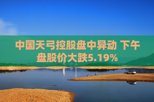 中国天弓控股盘中异动 下午盘股价大跌5.19%