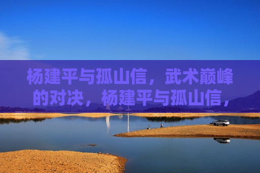 杨建平与孤山信，武术巅峰的对决，杨建平与孤山信，武术巅峰之战