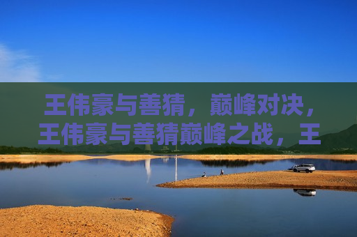 王伟豪与善猜,巅峰对决,王伟豪与善猜巅峰之战,王伟豪与善猜巅峰之战 第1张 王伟豪与善猜,巅峰对决,王伟豪与善猜巅峰之战,王伟豪与善猜巅峰之战 第1张