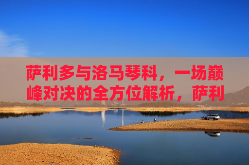 萨利多与洛马琴科，一场巅峰对决的全方位解析，萨利多与洛马琴科巅峰对决，全方位解读，萨利多与洛马琴科，巅峰对决全方位解读