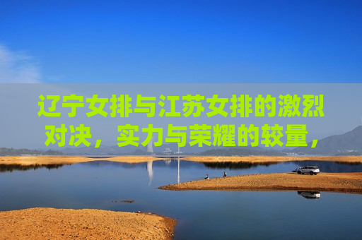 辽宁女排与江苏女排的激烈对决，实力与荣耀的较量，辽宁与江苏女排的荣耀对决，辽宁与江苏女排的荣耀对决，实力与荣耀的较量