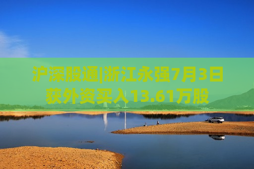 沪深股通|浙江永强7月3日获外资买入13.61万股  第1张