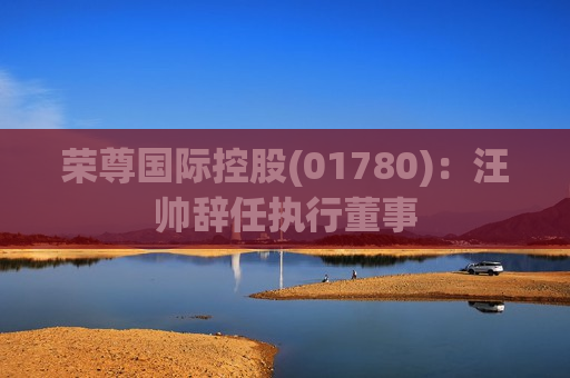 荣尊国际控股(01780)：汪帅辞任执行董事