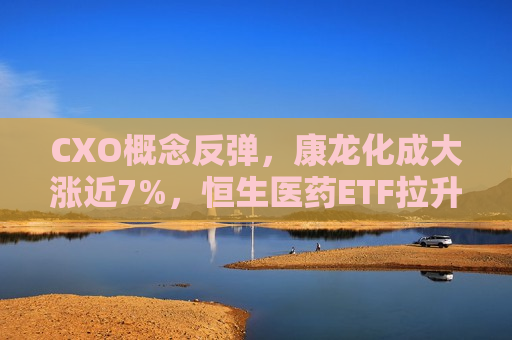 CXO概念反弹，康龙化成大涨近7%，恒生医药ETF拉升