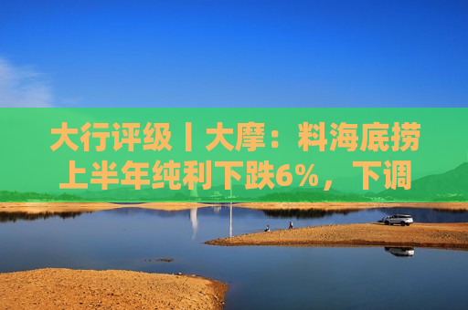 大行评级丨大摩：料海底捞上半年纯利下跌6%，下调目标价至18港元  第1张