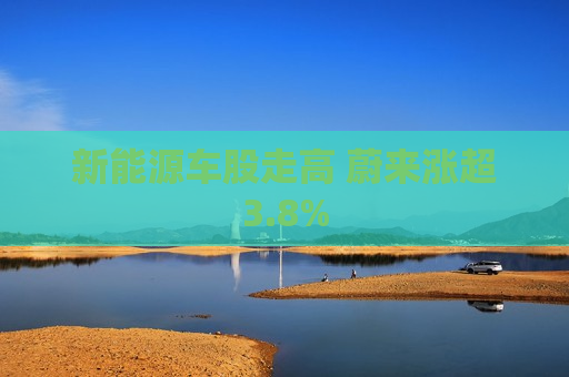 新能源车股走高 蔚来涨超3.8%