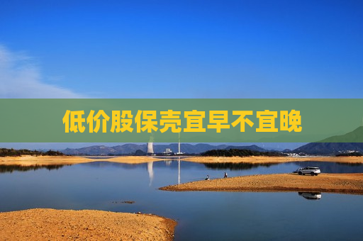 低价股保壳宜早不宜晚