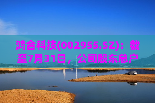 鸿合科技(002955.SZ)：截至7月31日，公司股东总户数为15728户