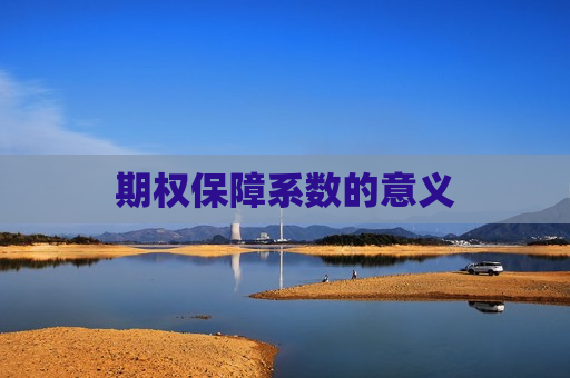期权保障系数的意义  第1张
