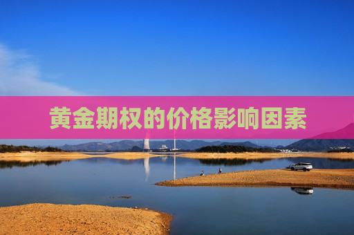 黄金期权的价格影响因素