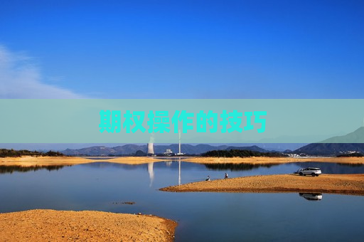 期权操作的技巧  第1张