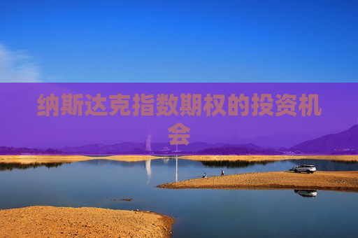 纳斯达克指数期权的投资机会 第1张 纳斯达克指数期权的投资机会 第1张